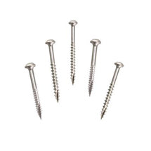 Five stainless steel pocket hole screws